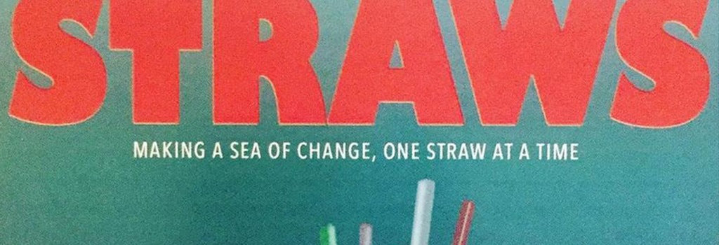 http://www.solunacollective.com/cdn/shop/articles/straws.jpg?v=1653352677